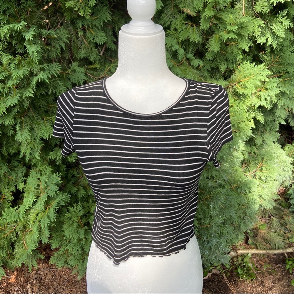 American Eagle Ribbed Crop Top